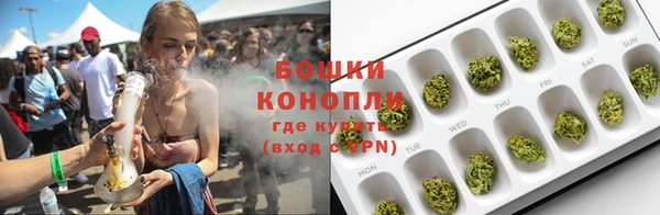 трава Абаза