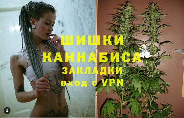 трава Абаза